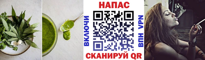 blacksprut tor  Зубцов  Cannafood конопля 