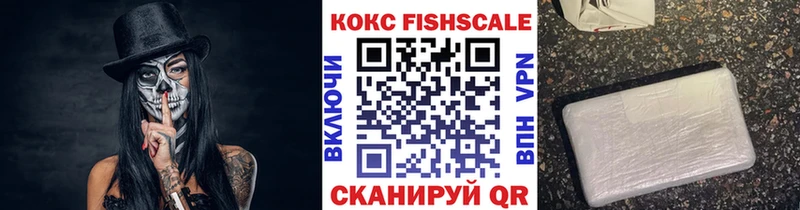 где найти наркотики  Зубцов  КОКАИН Fish Scale 