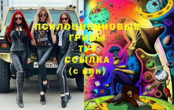 прущая мука Аркадак